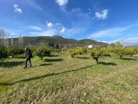 Doğanbeyde Eigentumsurkunde Verkauf Erfolgt 250M Land In Der Nähe Des Meeres