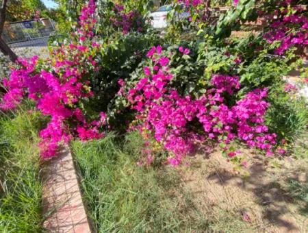 3 1 Villa Zum Verkauf Mit Garten Ganz In Der Nähe Des Meeres In Ürkmez