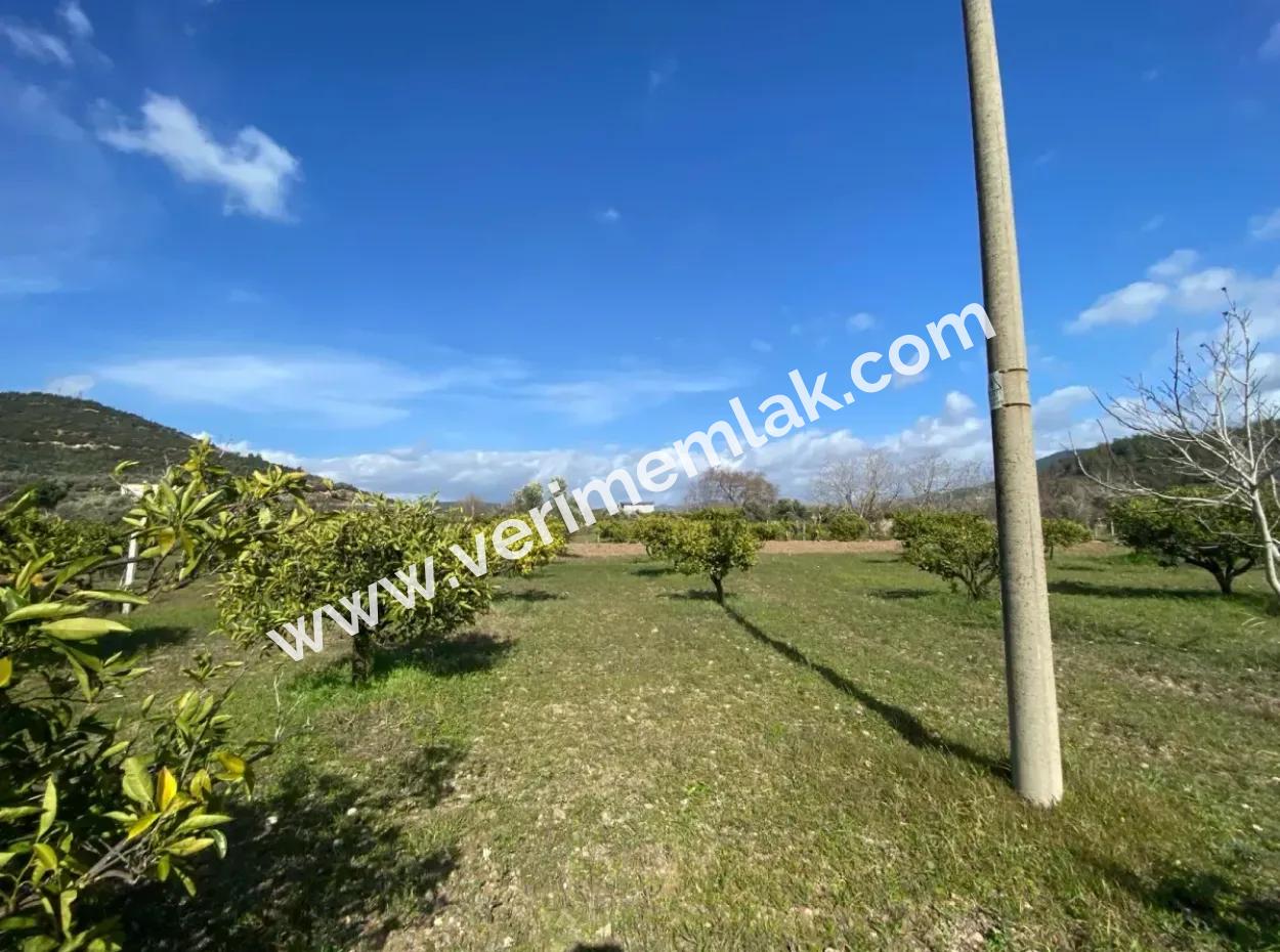 Doğanbeyde Title Deed Sale Is Made 250M Land Close To The Sea