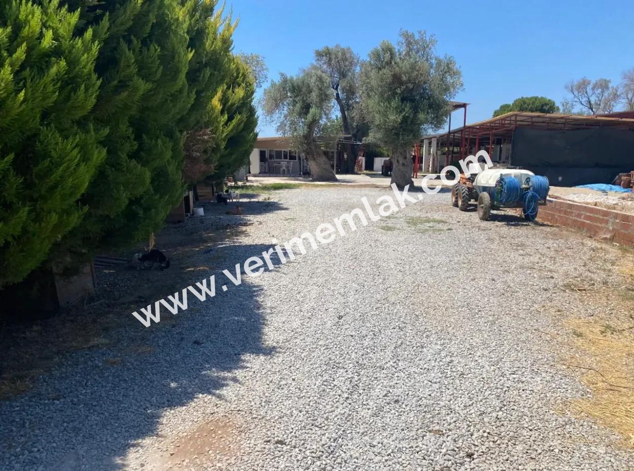 Seferihisar / Bengiler Mah. Farm For Sale With Share Title Deed