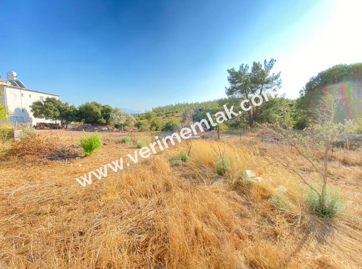 Seferihisar Doganbey De Zoned 0 Corner Land 440 For Sale 