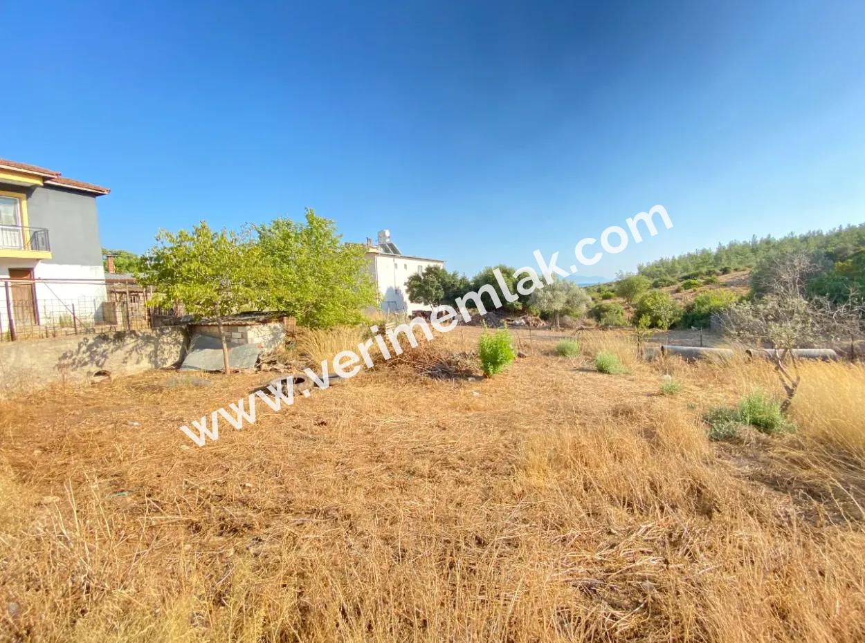 Seferihisar Doganbey De Zoned 0 Corner Land 440 For Sale 