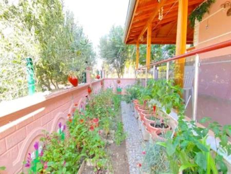 Single Detached Large Garden In Doğanbey 3 1 Villa For Sale Without Expense