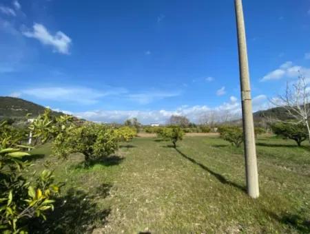 Doğanbeyde Title Deed Sale Is Made 250M Land Close To The Sea