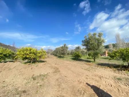 Doğanbeyde Title Deed Sale Is Made 250M Land Close To The Sea