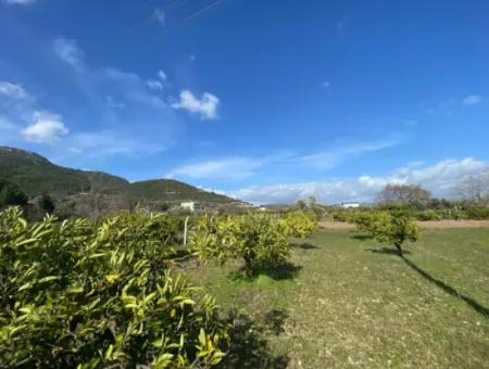 Doğanbeyde Title Deed Sale Is Made 250M Land Close To The Sea