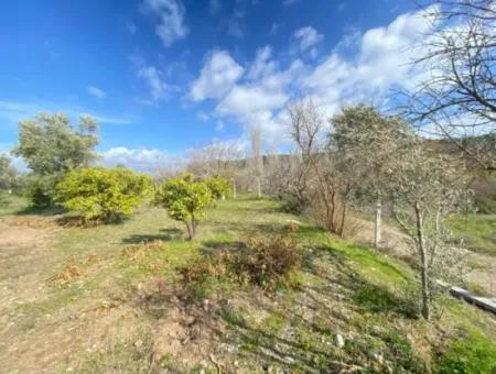 Doğanbeyde Title Deed Sale Is Made 250M Land Close To The Sea