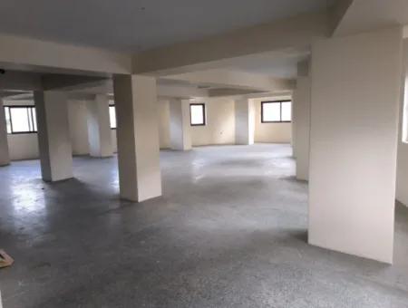 220M2 Complete Floor Single Area Office In Alsancak Kahramanlar