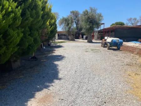 Seferihisar / Bengiler Mah. Farm For Sale With Share Title Deed