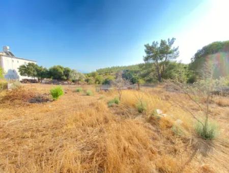 Seferihisar Doganbey De Zoned 0 Corner Land 440 For Sale 