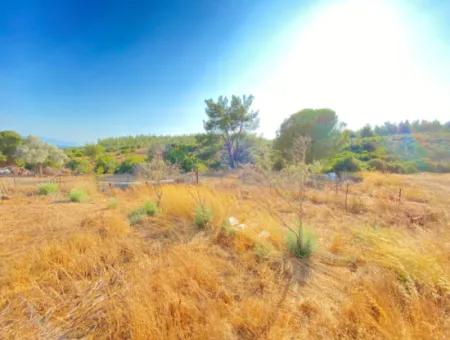 Seferihisar Doganbey De Zoned 0 Corner Land 440 For Sale 