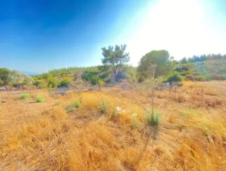 Seferihisar Doganbey De Zoned 0 Corner Land 440 For Sale 