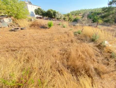 Seferihisar Doganbey De Zoned 0 Corner Land 440 For Sale 