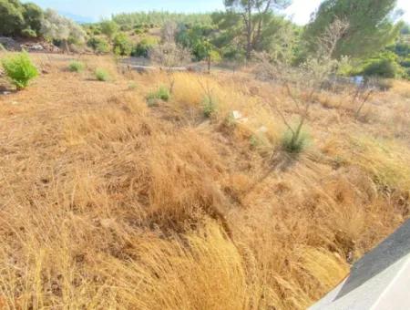 Seferihisar Doganbey De Zoned 0 Corner Land 440 For Sale 