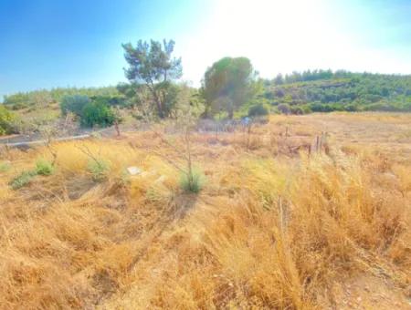 Seferihisar Doganbey De Zoned 0 Corner Land 440 For Sale 