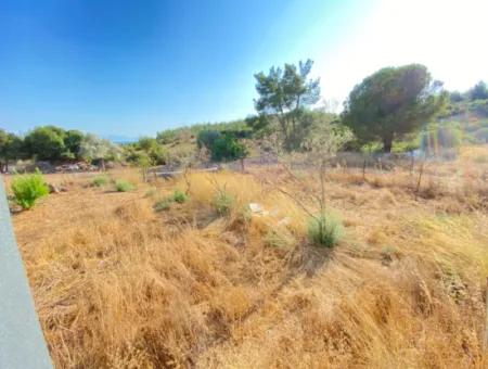 Seferihisar Doganbey De Zoned 0 Corner Land 440 For Sale 