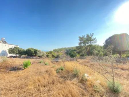 Seferihisar Doganbey De Zoned 0 Corner Land 440 For Sale 